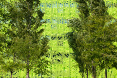 <b>VERT</b> | Coexistence de "verts" minéral et végétal (Immeuble EuroNews, LYON Confluence)